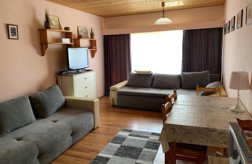 Tauplitz Apartamento | Lovely Apartment