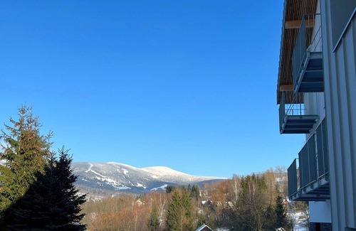 Rokytnice nad Jizerou Apartamento | Bonito apartamento para 3 personas con piscina, WIFI, TV y terraza