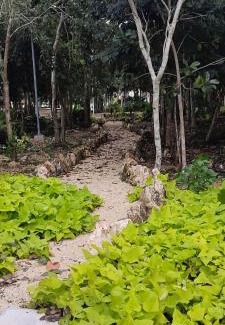 Cancún Apartamento | Lovely Apartment HOEStel Pedreira!