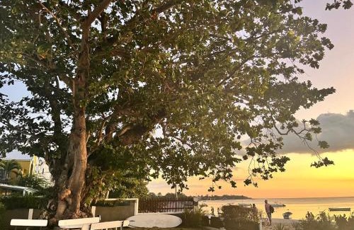 Trou aux Biches Casa | Lovely beach front house 3 bedrooms in Trou aux Biches Mauritius