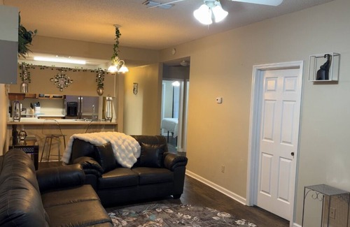 Bainbridge Apartamento | Lovely clean 2-bedroom apartment with AC near downtown Bainbridge