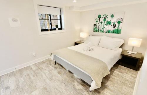 Near Northeast Apartamento | Lovely English Basement Apartment in Washington DC