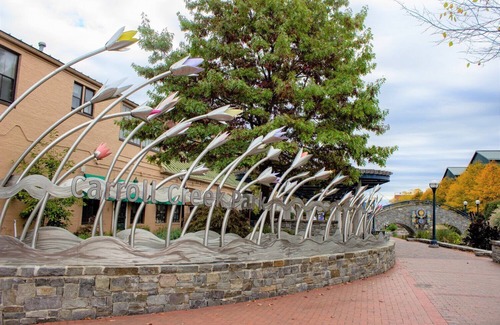 Frederick Casa | Lovely green townhouse in the heart of Frederick County