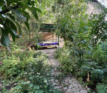 Osh Otro | Lovely home shatry