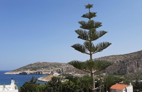 Kaki Thalassa Cabaña | Lovely maisonette 3min walk from the beach!Roof garden with sea view!Nearairport