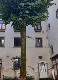 Ljubljana Old Town Apartamento | Lovely Old City-Center Apartment