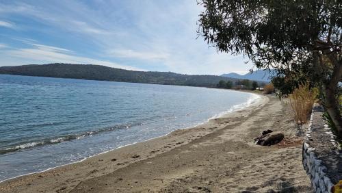Karvelas Apartamento | Lovely place in kamares 7