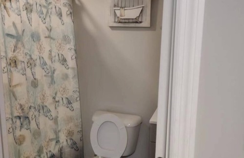 Goose Creek Apartamento | lovely relaxing room with hight speed internet , neflix with a independent entry