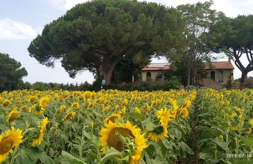 Campiglia Marittima Apartamento | Estudio en Toscana con piscina cerca de las playas.