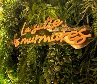 Scionzier Apartamento | Loveroom La suite des murmures