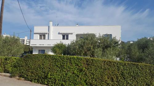 Suha Punta Apartamento | Lovorka Apartmani