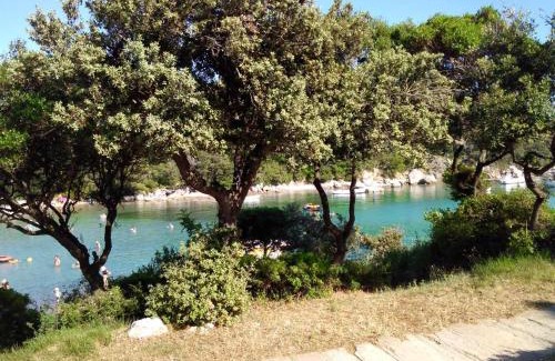Suha Punta Apartamento | Lovorka Apartmani