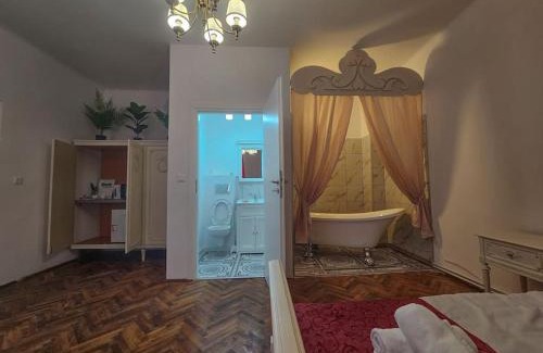 Centrul Vechi Apartamento | Ludovic Boutique
