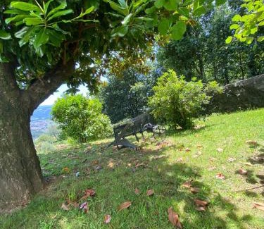 Mos Casa | Lugar do Pombal
