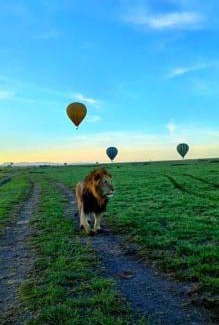 Maasai Mara Casa | Luluka Guest House
