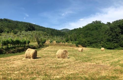 Pontremoli Apartamento | Lunigiana Experience