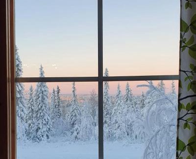 Syote Apartamento | LuppoSyöte