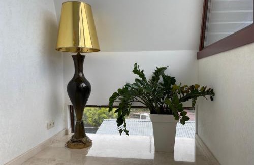 Odessa Casa | Lustforlive