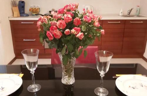 Holosiivskyj Apartamento | Lux Apartment, Liko Grad