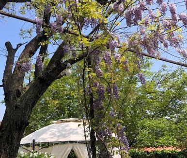 Kumanovo Apartamento | Lux Garden Home D