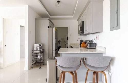 Barbican Apartamento | Luxe City Oasis 2bdrm apt in Kingston w/ AC, WiFi, Gym and Rooftop Pool