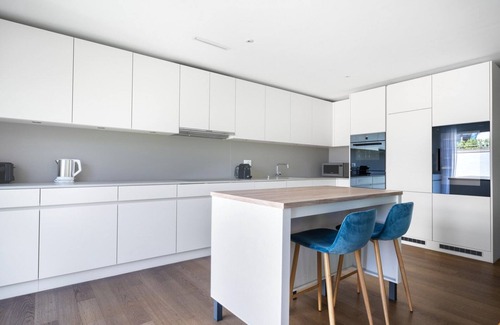 Escher Wyss Apartamento | Luxe Escher Wyss 2BR w/ Storage & W/D, nr Station, by Blueground