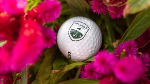 Heusden Gem Asten Otro | Luxe Glamping Met eigen badkamer voor 5 Personen Bashful