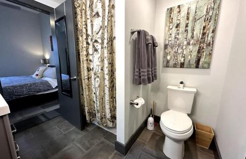 Roanoke Apartamento | Luxe rooftop retreat in downtown core