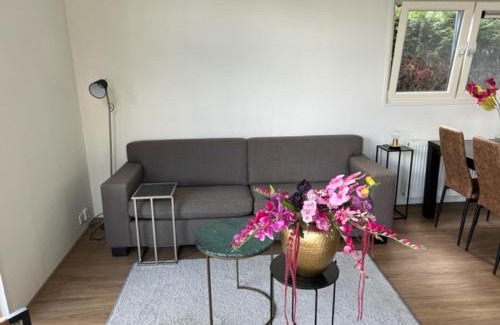Voorthuizen Casa | Luxe vakantievilla in Voorthuizen
