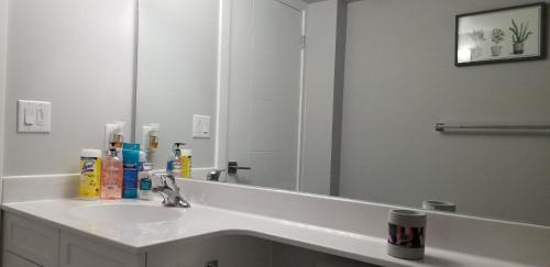 Winnipeg Casa | Luxurious 2 bedroom basement suite