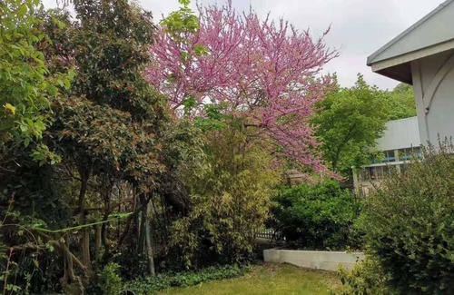 Sevres Apartamento | Luxurious 3+1 pcs apartment with garden 3 km from Paris