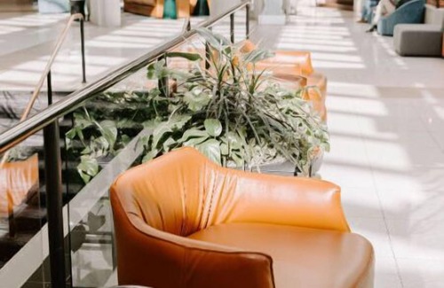 New Tacoma Apartamento | Luxurious ADA Suite + Museum Worthy Art Collection