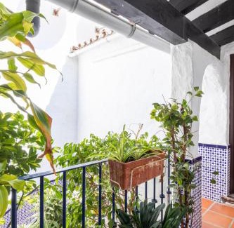 Puerto Banus Apartamento | luxurious frontline penthouse in puerto banus