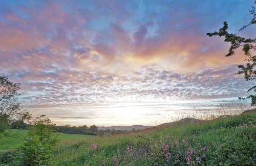 Bretherdale Casa | Luxurious, High Quality, 'Green' Cottage (Lake District & Dales National Parks)