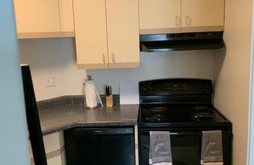 Detroit Apartamento | Luxurious High Rise Downtown Apartment With Tons Of Amenities