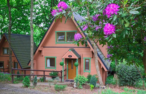 Liverton Cabina | Luxury 3-Bedroom Lodge with Hot Tub in Devon - Your Perfect Getaway