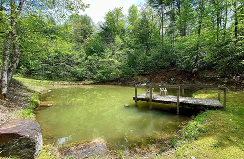 Ellijay Cabina | Luxury A-Frame Cabin, Sleeps 12, Cedar Hot Tub, Game Room, Fishing Pond, Views