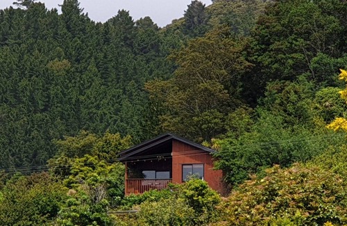 Picton Cabaña | Luxury Accommodation in Nature! Pet-Friendly