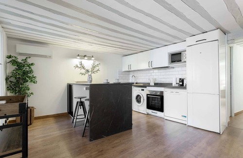 Barrio de La Latina Apartamento | Luxury apartment near La Latina.Plaza de la Cebada