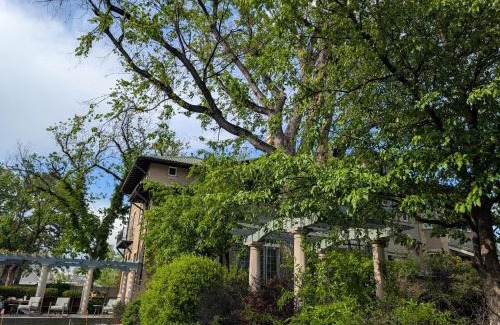 Old North End Casa | Luxury at the 1912 Sharp Mansion