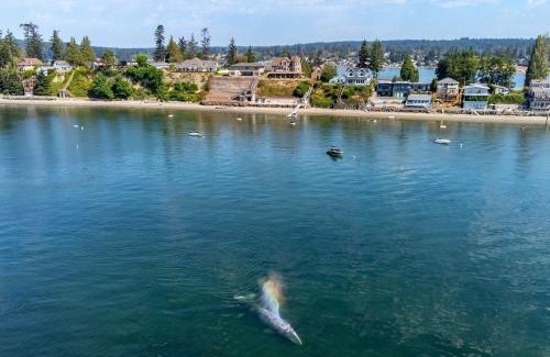 Tulalip Casa | Luxury Bayfront Oasis with Private Beach Access, Near Tulalip Casino and Outlets!