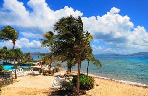 Red Hook Apartamento | Luxury Beachfront King Suite on Sapphire Beach II