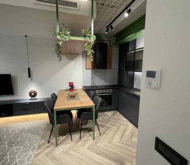Sibiu Apartamento | Luxury by The Lake Ap 25