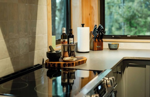 Brevard Cabaña | Luxury Cottage, Estate Property, Walk to Downtown, Pet Friendly