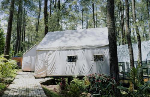 Cikole Otro | Luxury Deck Cabin