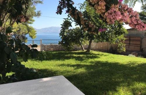 Slatine Villa | Luxury Family Beach Front Villa - SUNDAY BEACH HOUSE