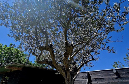 Courthezon Otro | Luxury Family Farmhouse in Provence Near Avignon