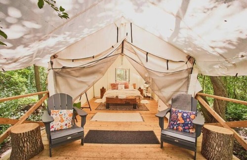 Elora Cabina | Luxury Glamping on Elora Flower Farm - Fox