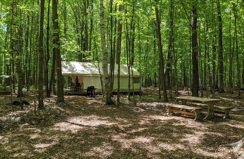 Phelps Apartamento | POV Resort Campgrounds - Tienda de lujo # 10 (Yurta con electricidad, actualizaciones de calor opcionales)