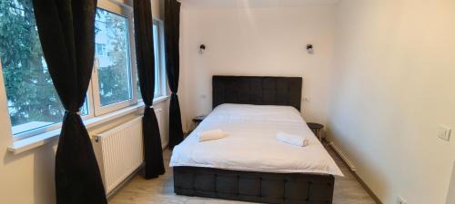 Bacau Apartamento | Luxury Lion Crib
